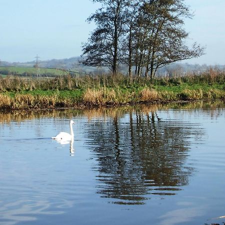 The Bower Inn Бриджвота Экстерьер фото Swans on the River Wye